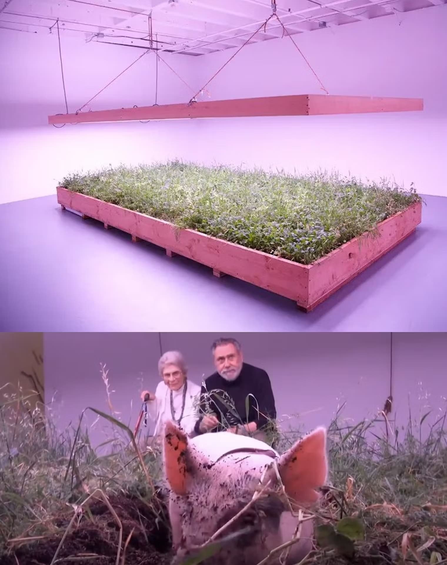 Planting for the Future: The Artists Pushing Ecological Art Forward