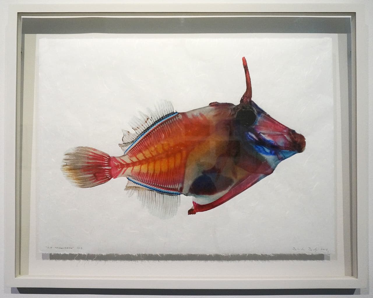 Artistic Encounters with Our Toxic Waters