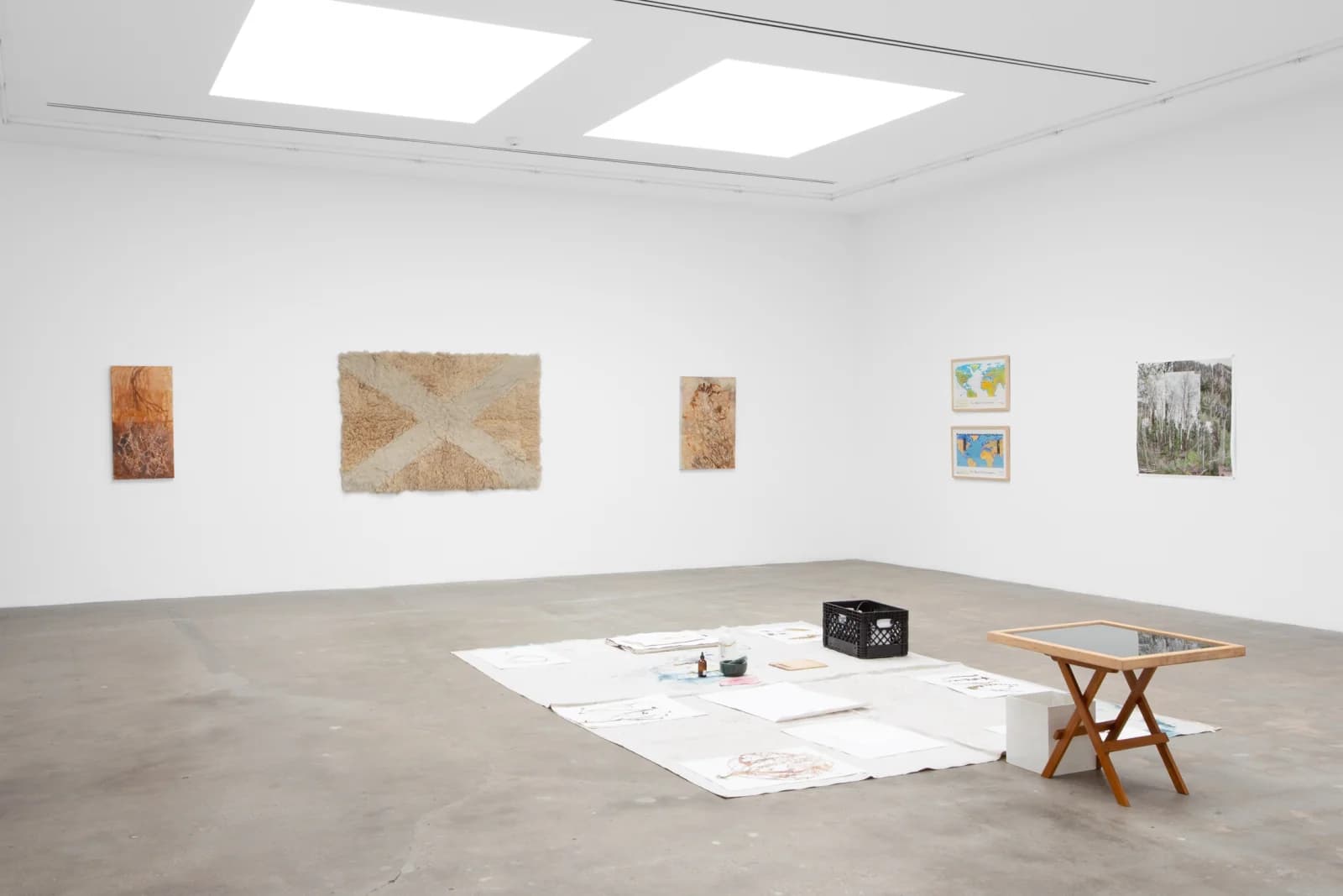 Eco-art Work: 11 Artists from 8 Countries, Curated by Newton Harrison, Salma Arastu, Brandon Ballengée, Barbara Benish, Nathalie Blanc, Tim Collins & Reiko Goto, Edgar Cruz, The Harrison Studio, Jorgge Menna Baretto, Aviva Rahmani, Åsa Sonjasdotter, Ruth Wallen, Yangkura