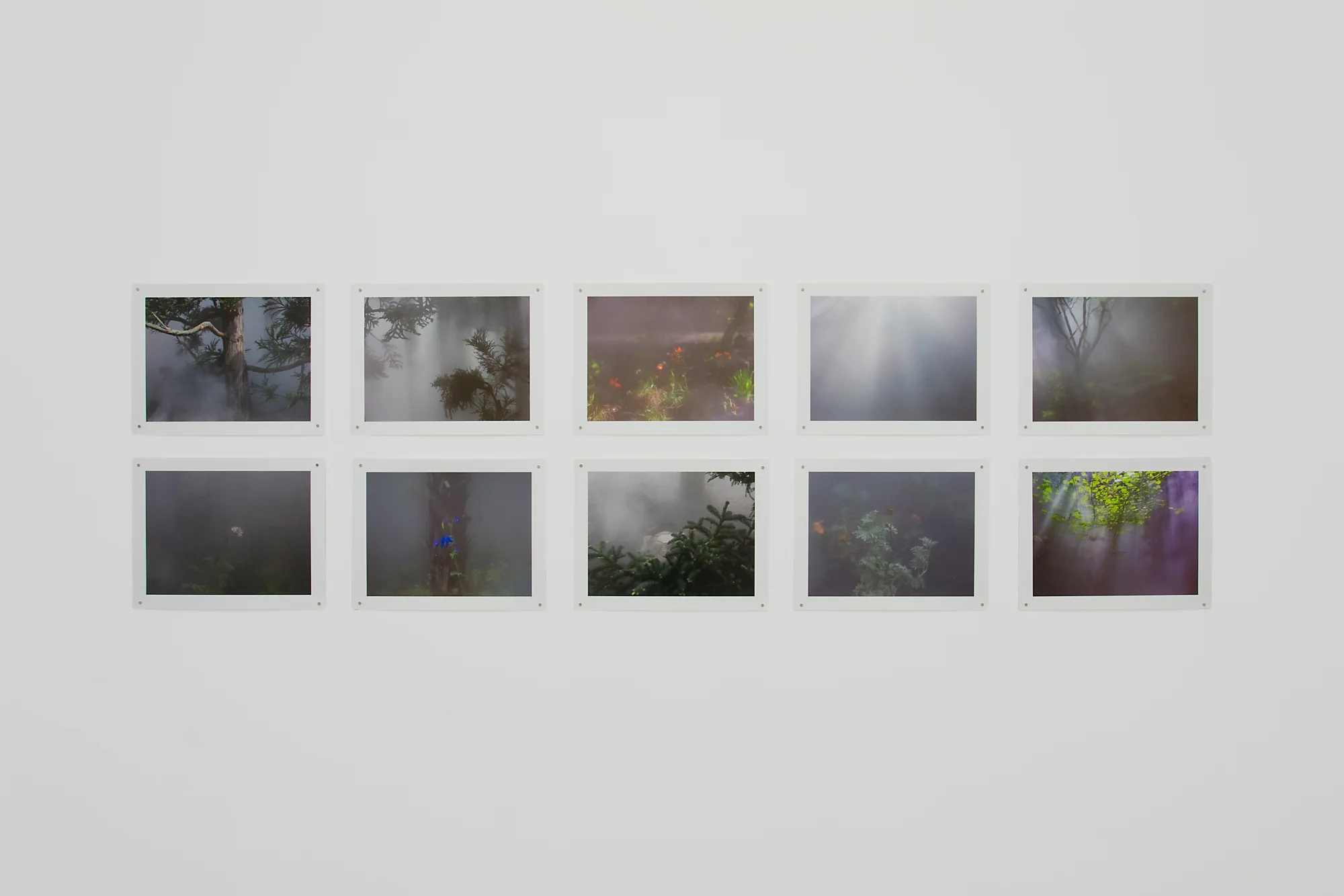 Ben Thorp Brown - Cura
