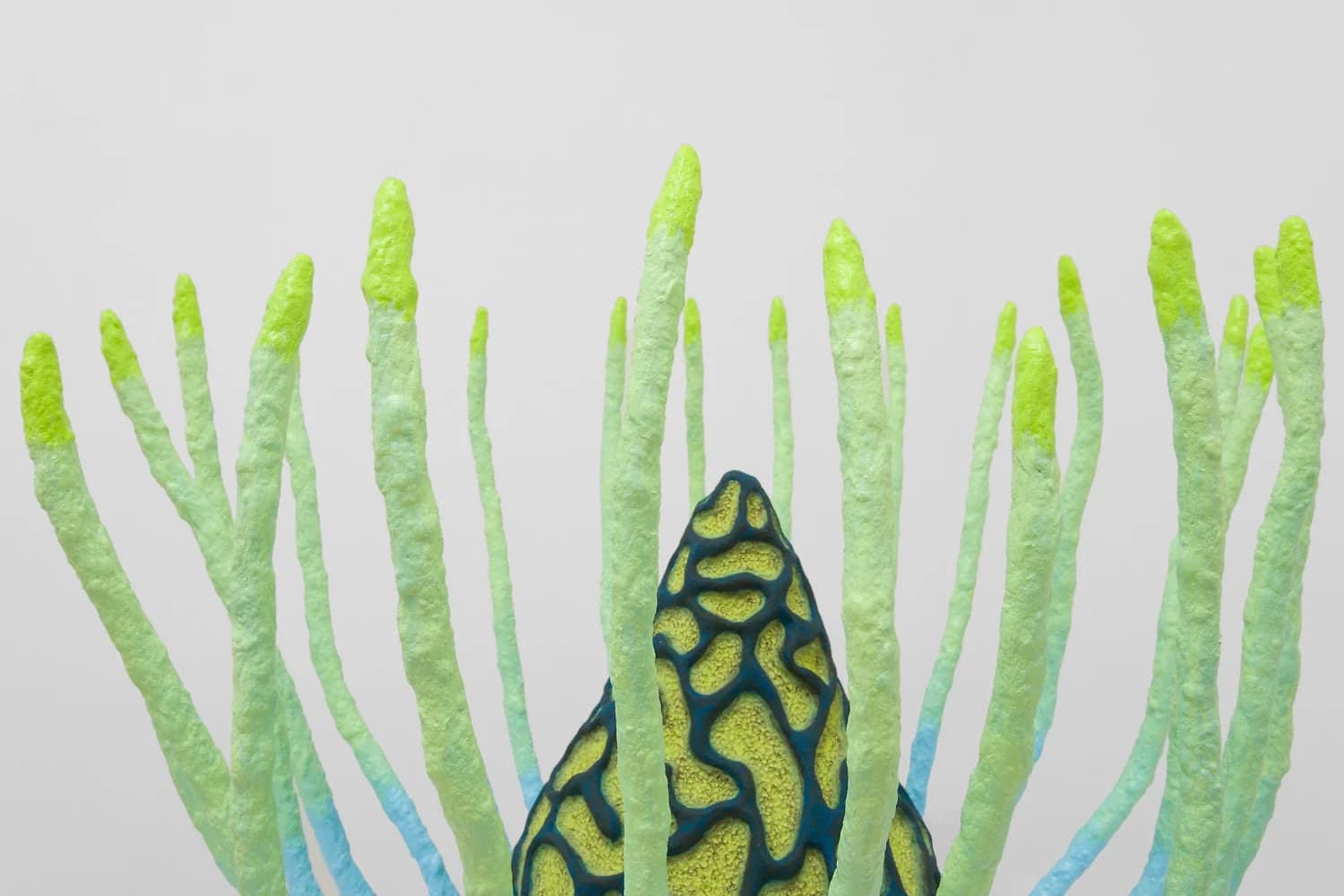 Sarah Ippolito - Liquid Realm