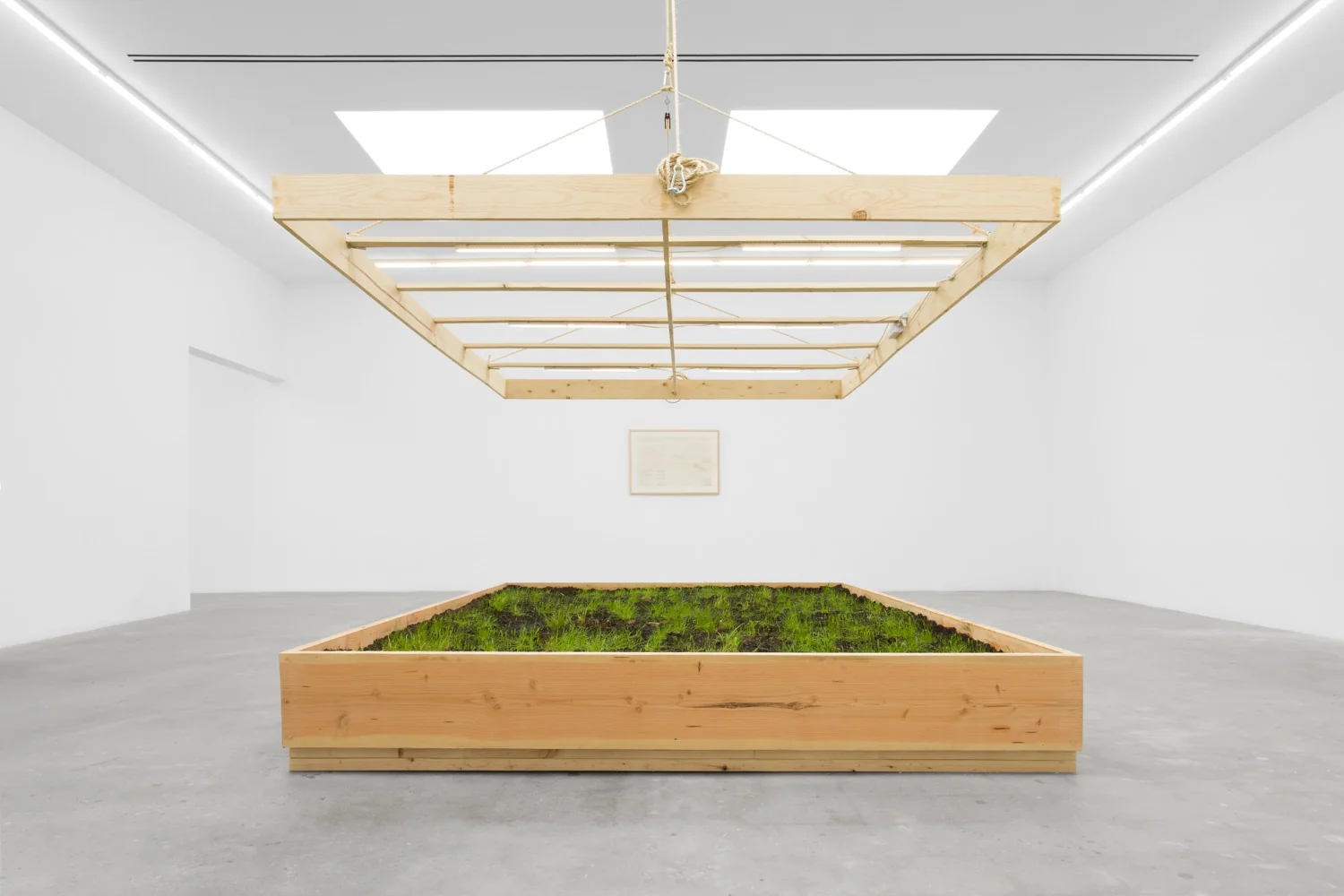 The Harrison Studio - Survival Piece #1: Air, Earth, Water, Interface: Annual Hog Pasture Mix