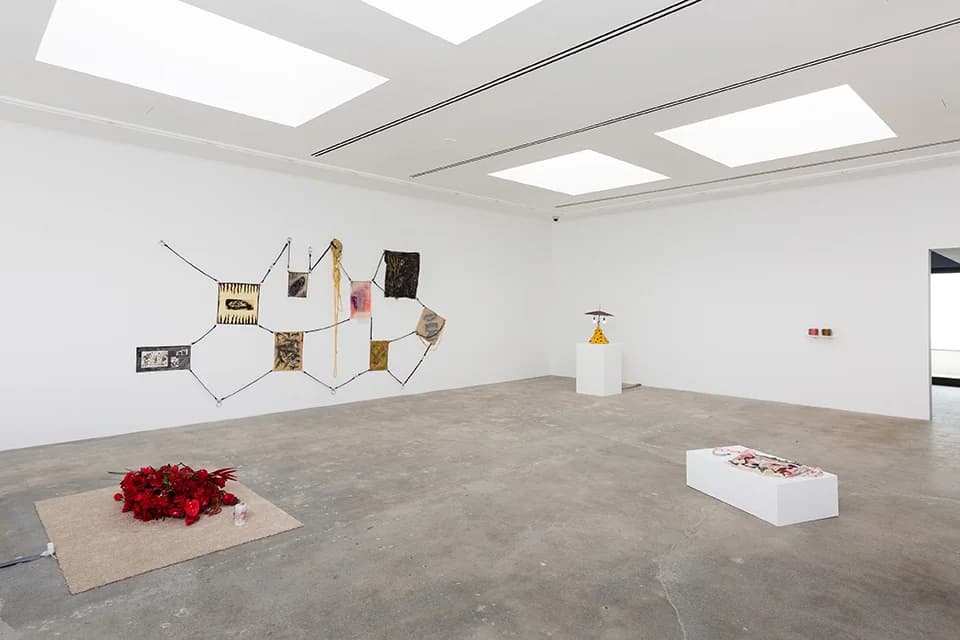 Artificial Complexion, Co-curated with Amy Yao - Liz Craft, Matt Damhave, Gruppo UFO, K8 Hardy, Marie Karlberg, Alison Knowles, Jason Loebs, The Baroness Elsa von Freytag-Loringhoven, Sean Raspet, Carissa Rodriguez, Kathleen Ryan, Amy Yao