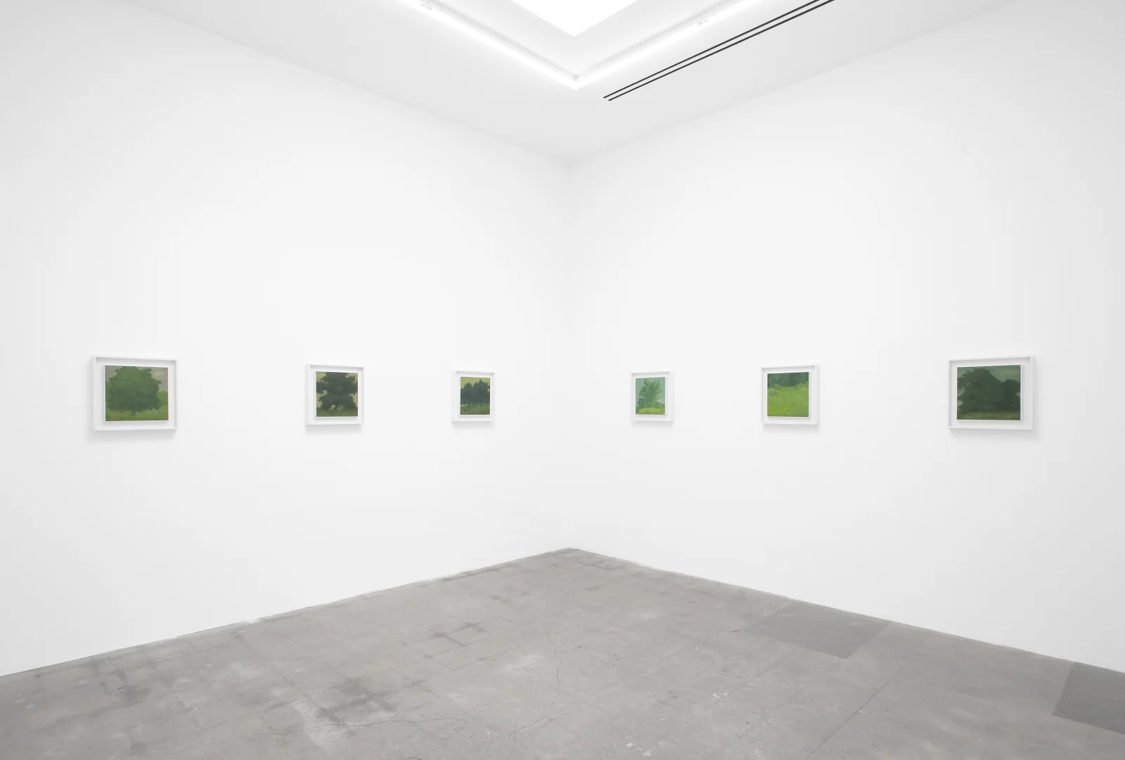 Will Gabaldón installation view