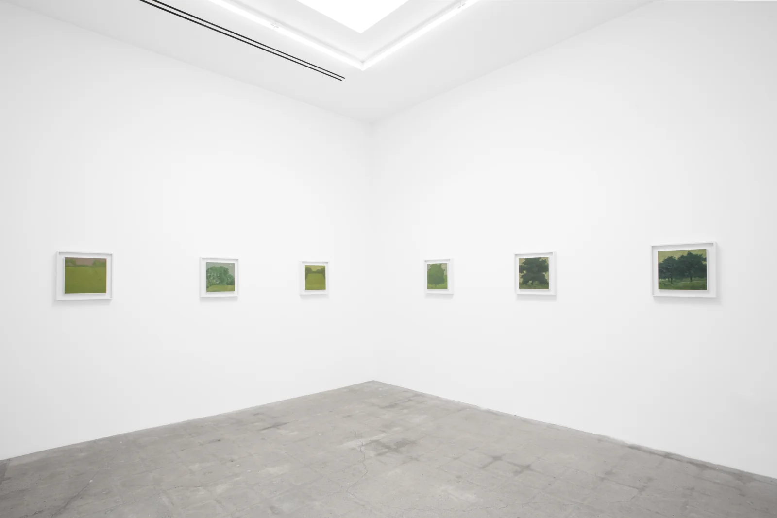 Will Gabaldón installation view