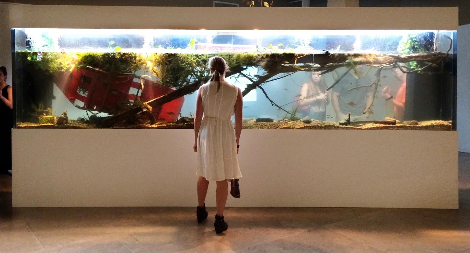 Mississippi Delta Eco-Displacement, 2014 (installation view)