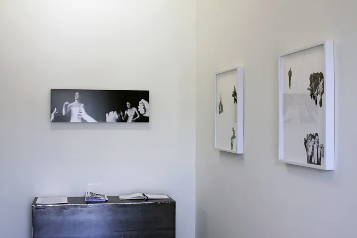 The Digital Face, 2012. Various Small Fires, Los Angeles (installation image)
