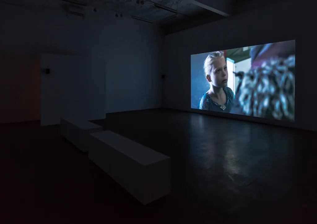 Kiss and Cry, 2015. Mercer Union (installation image). Photo: Toni Hafkenscheid