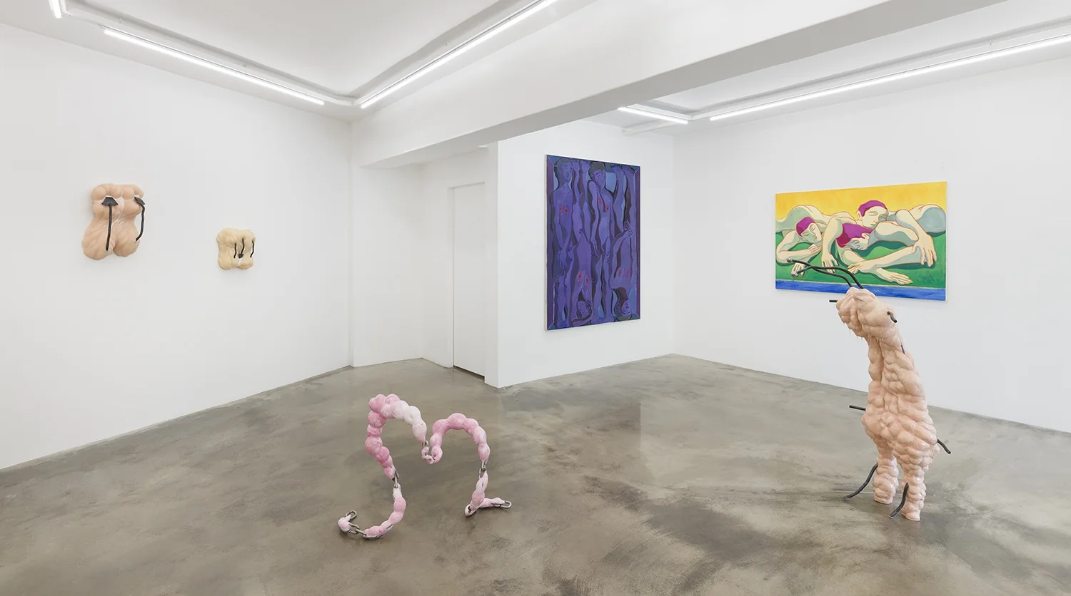 Installation view