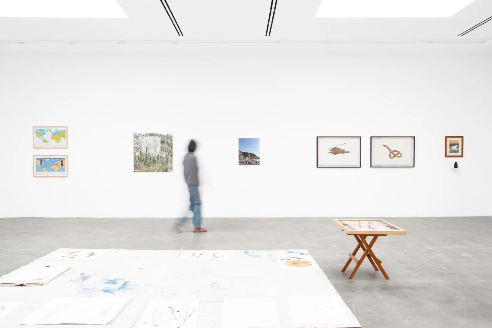 Installation view