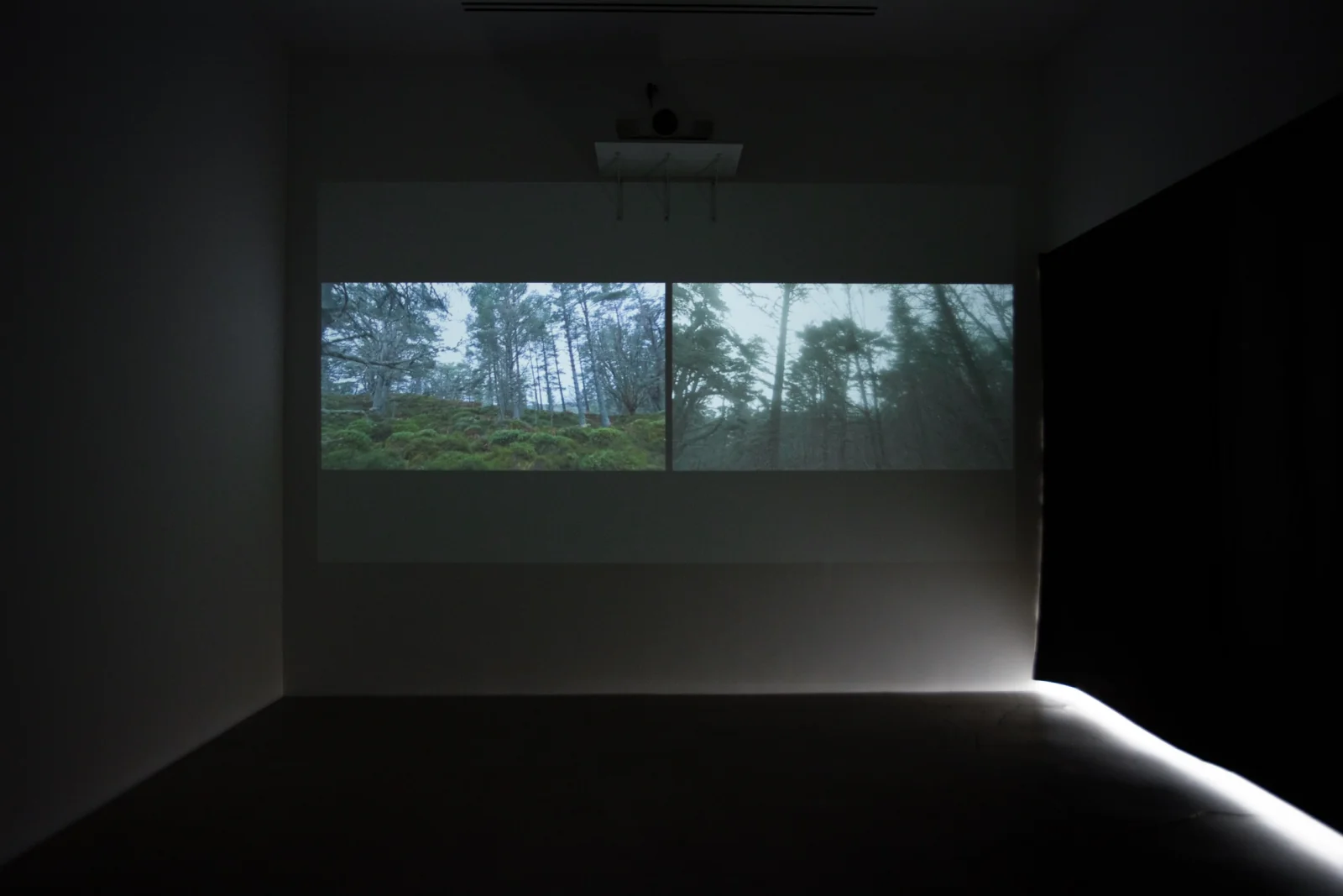 Installation view