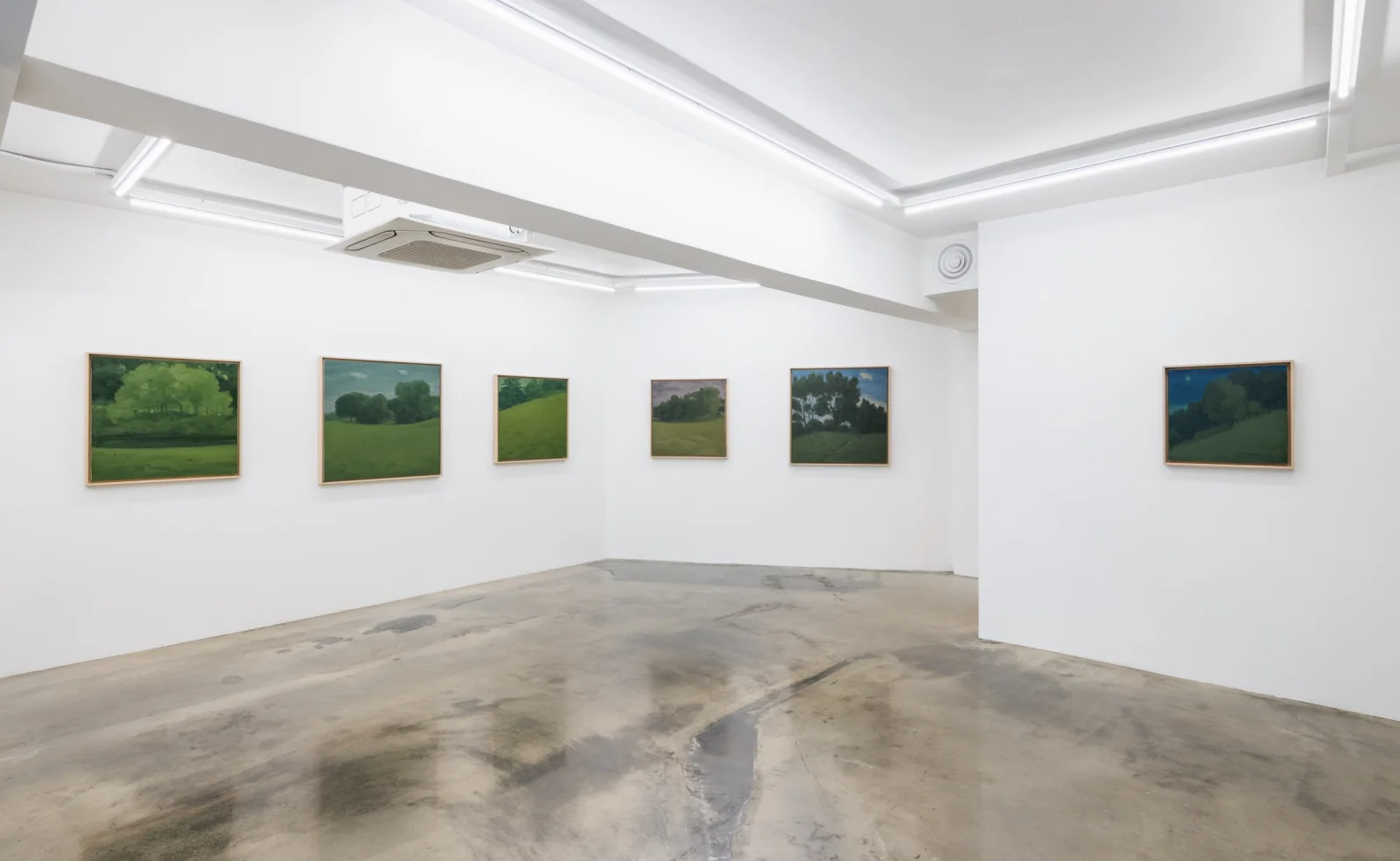 Installation view