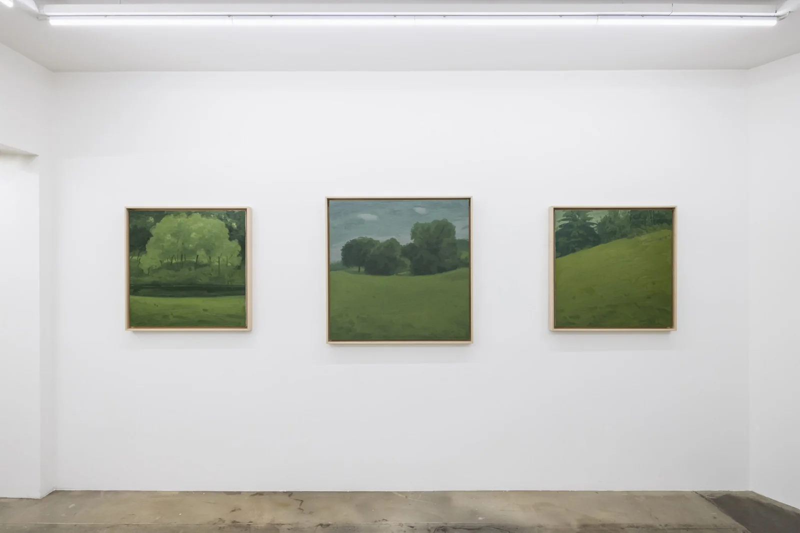 Installation view
