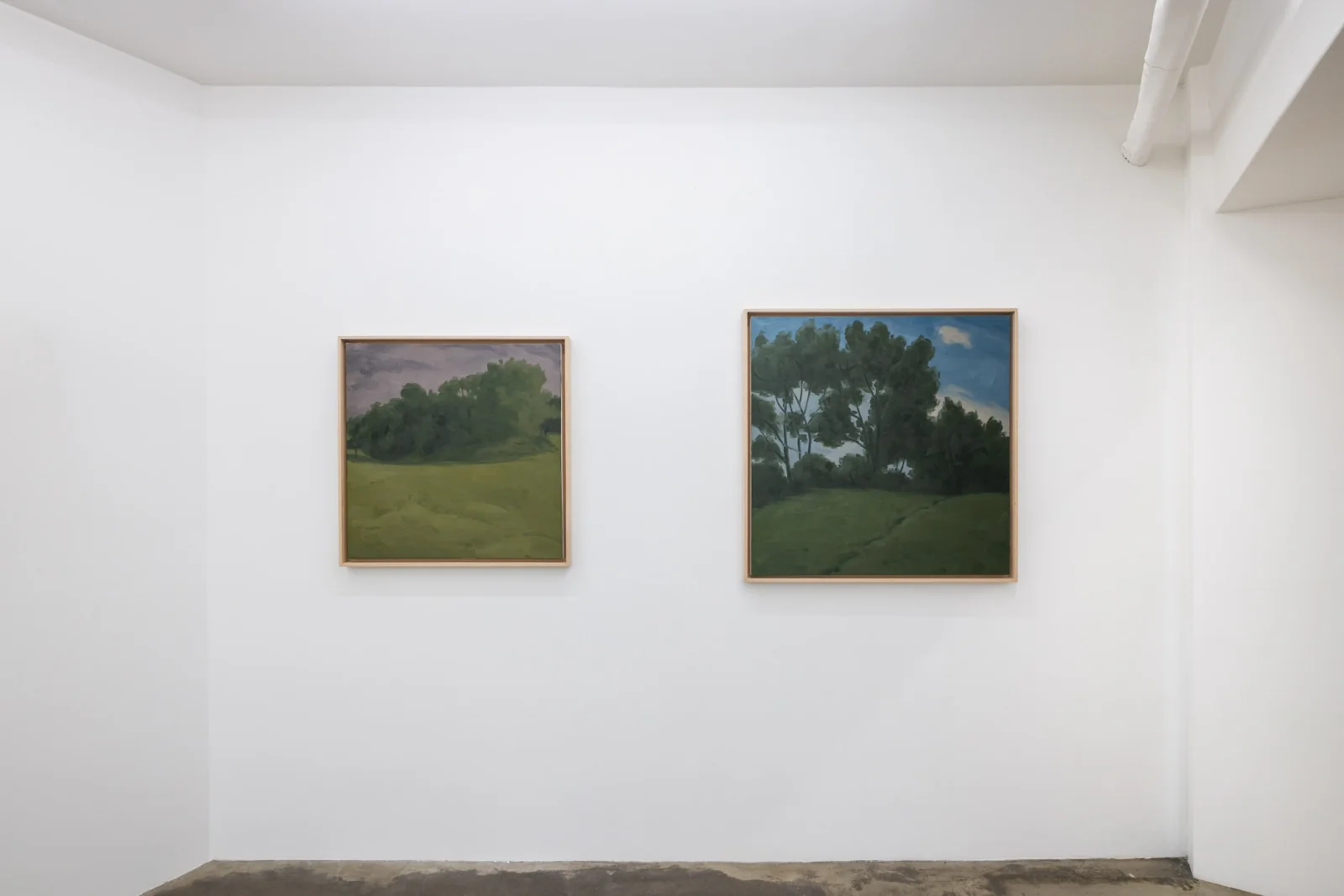 Installation view