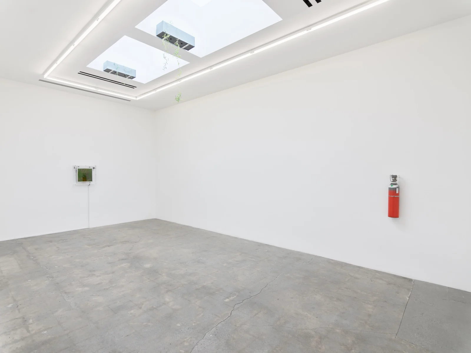 Installation view