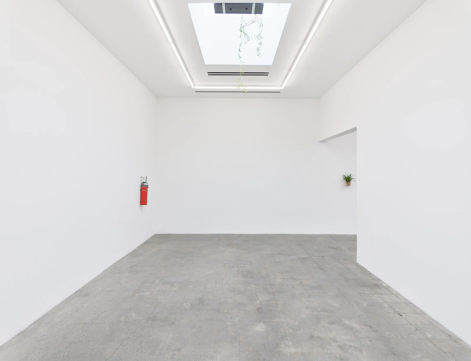 Installation view