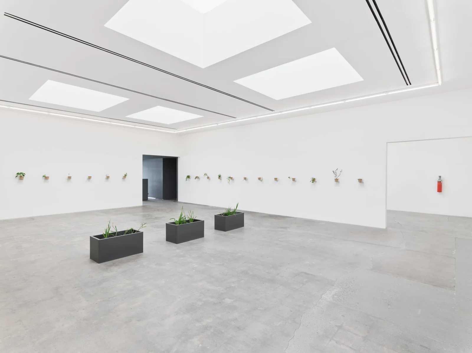 Installation view