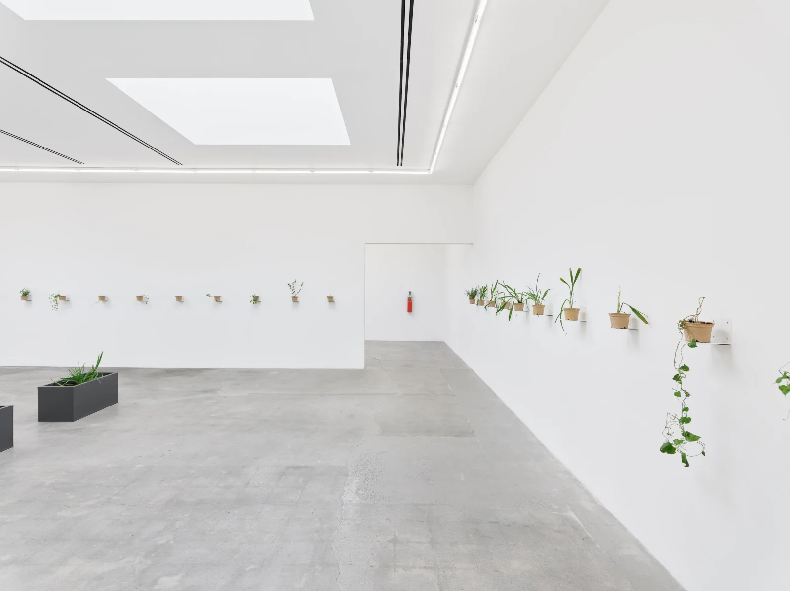 Installation view