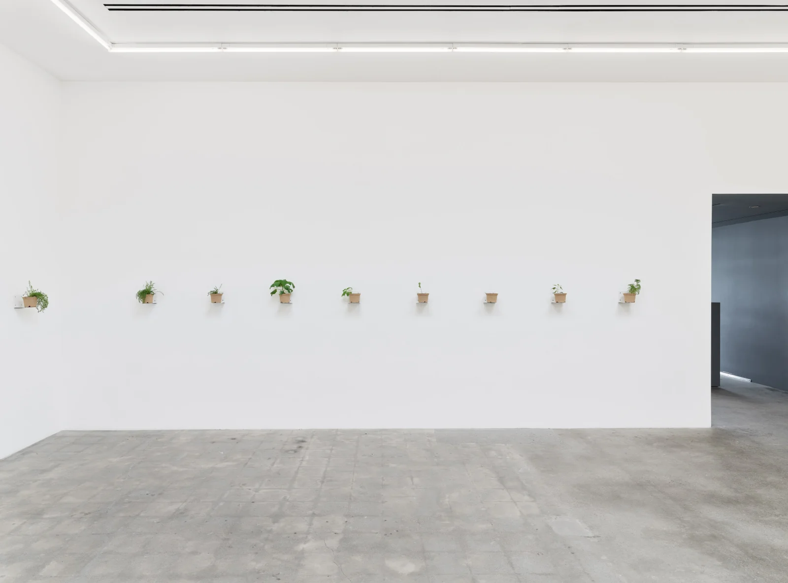 Installation view