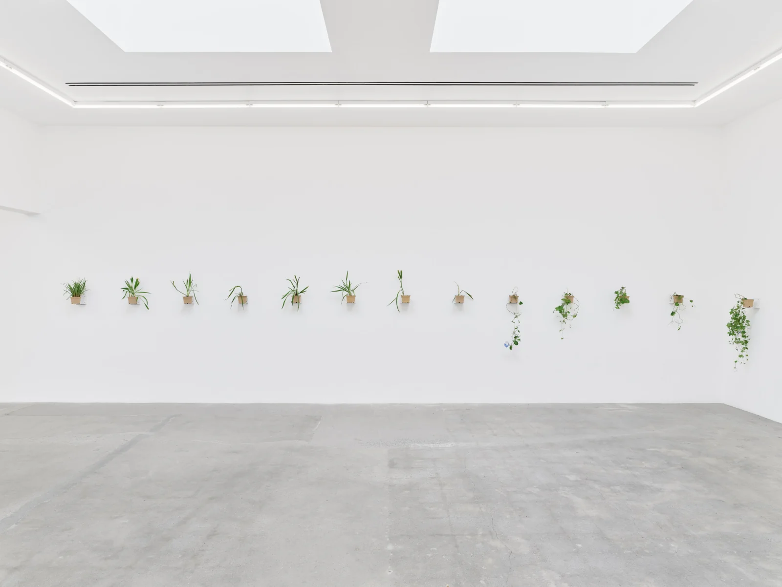 Installation view