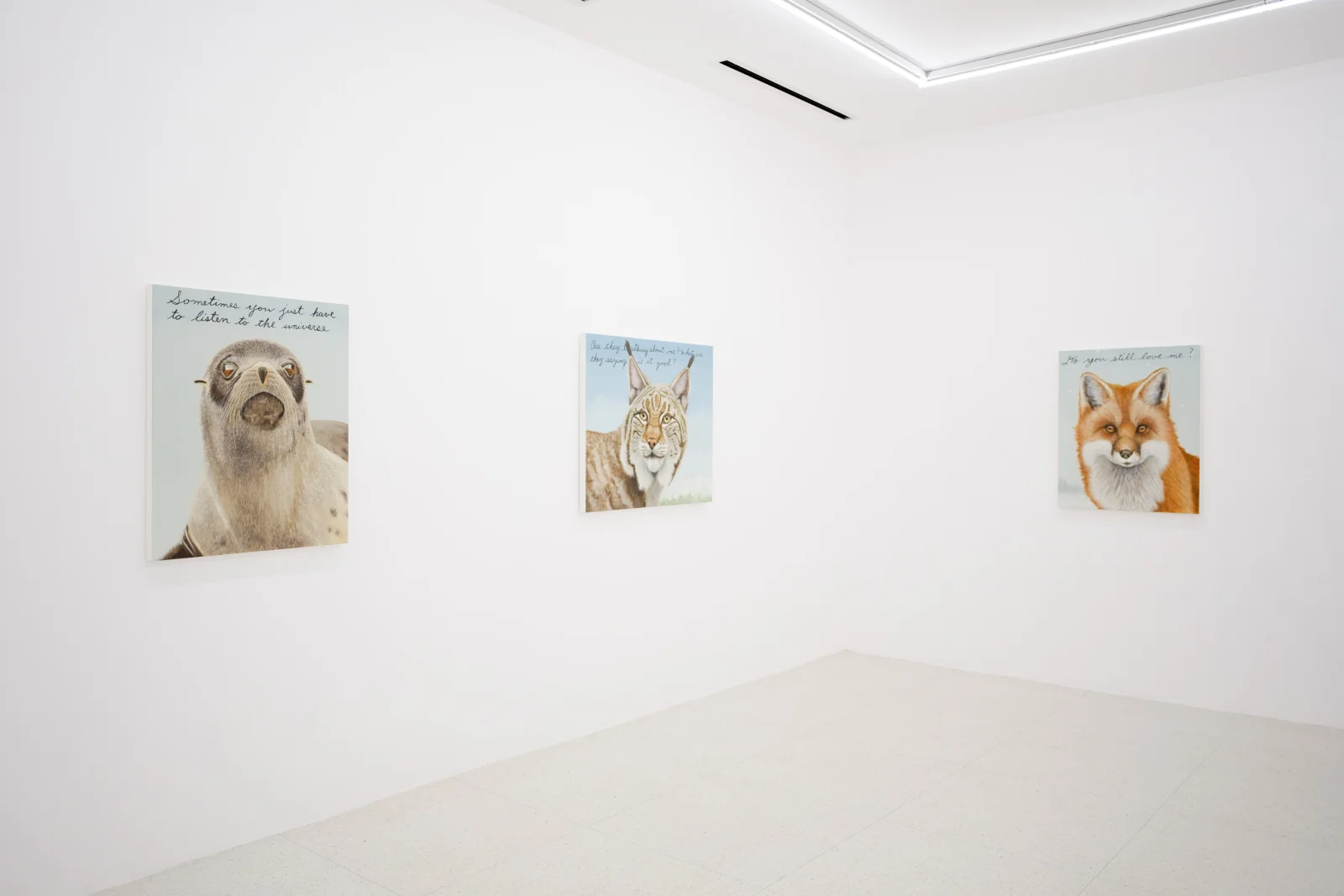 Installation view