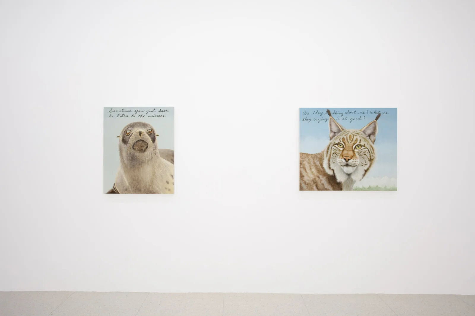 Installation view