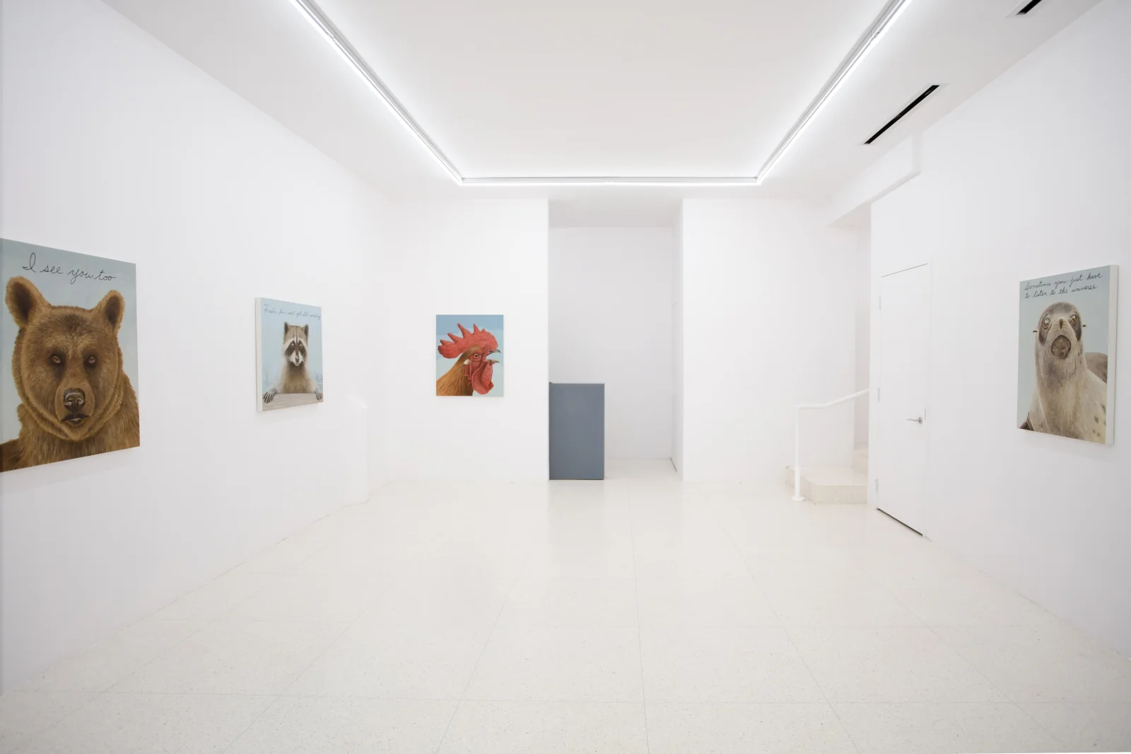 Installation view