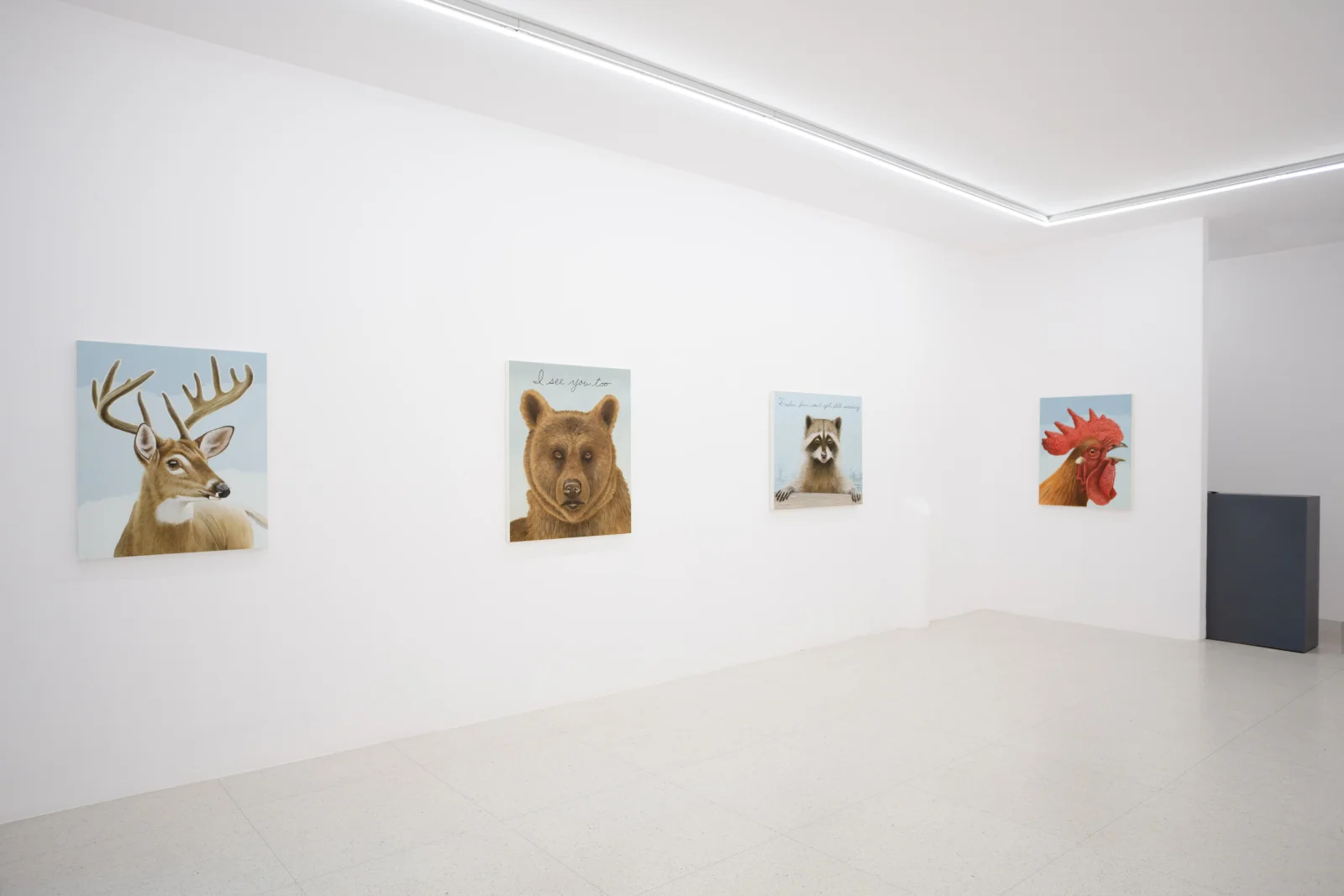 Installation view