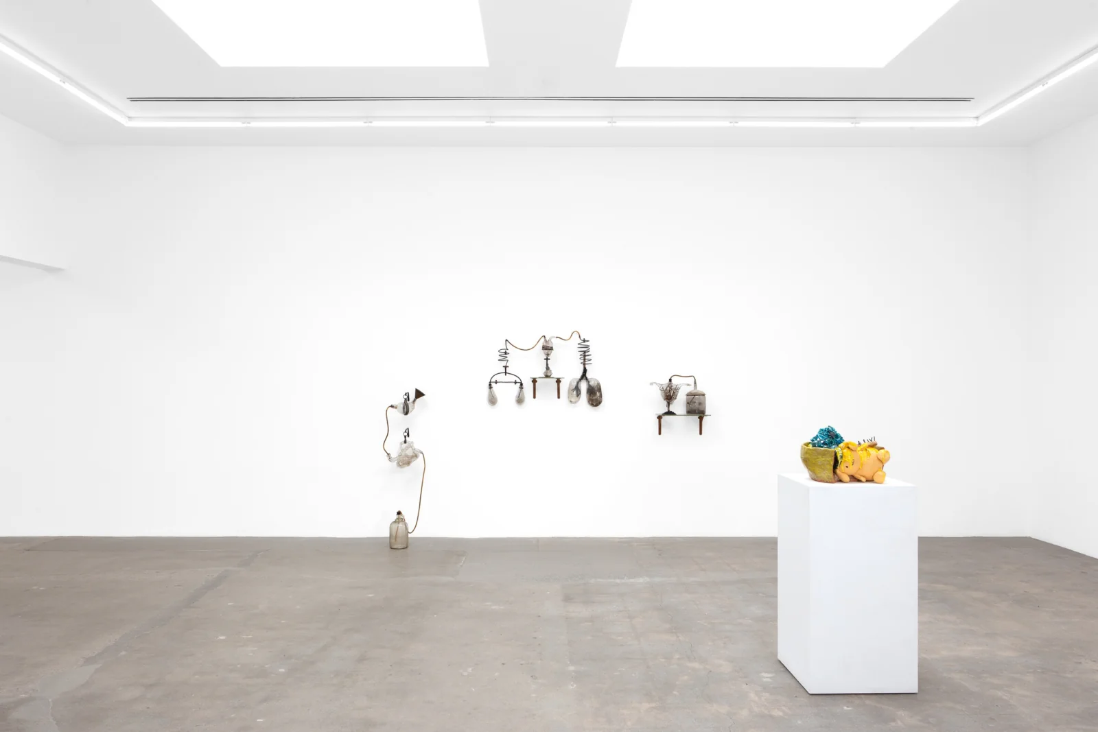 Installation view