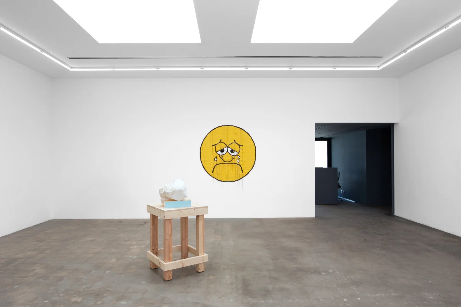 Installation view