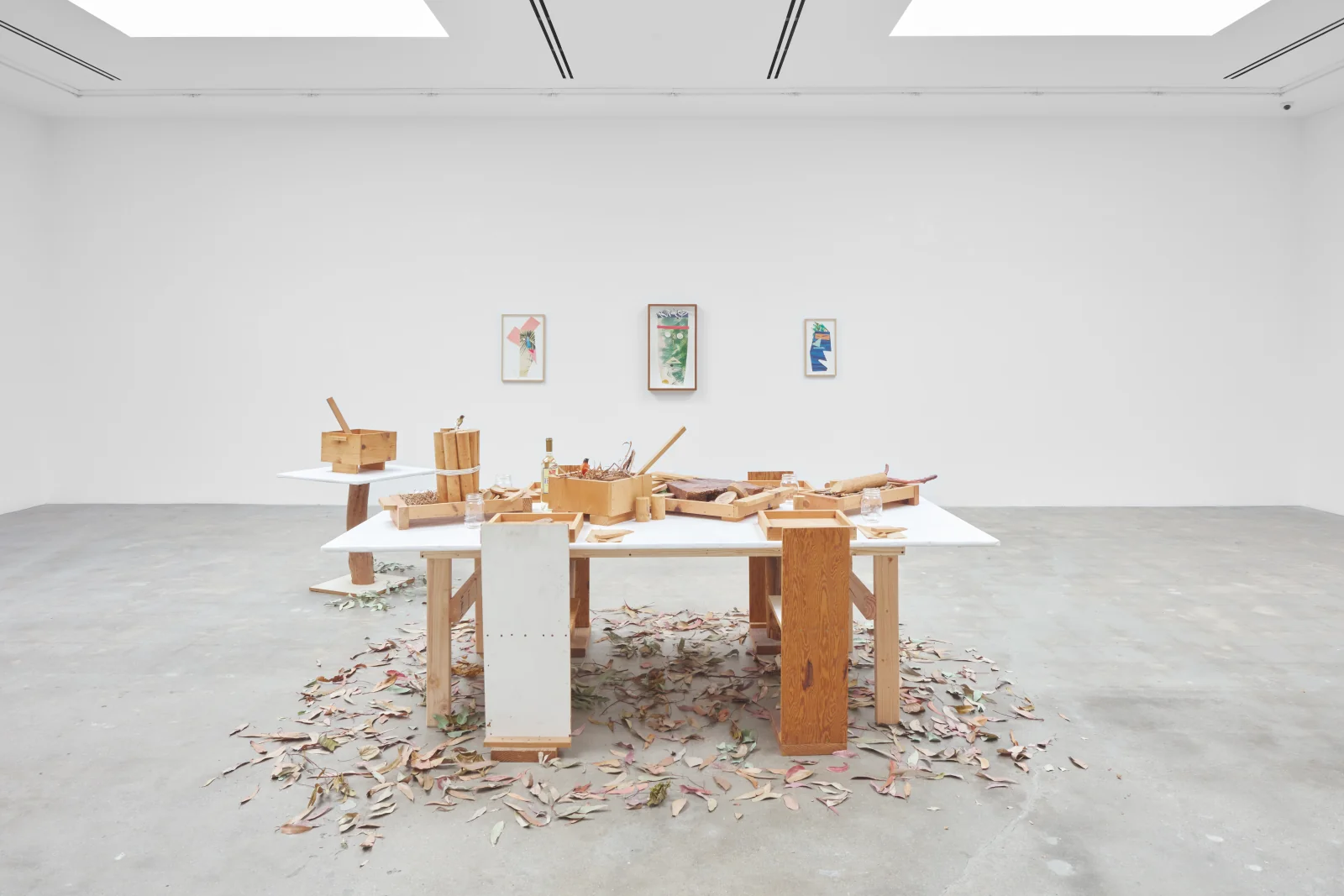 Installation view
