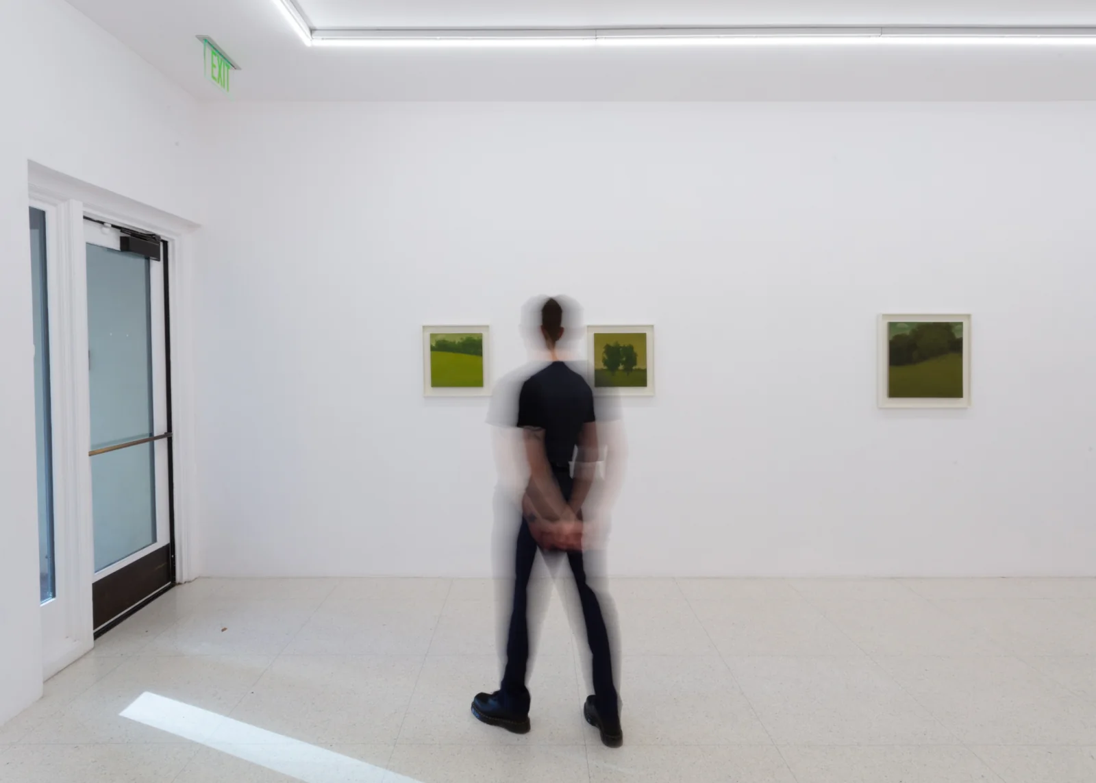 Installation view