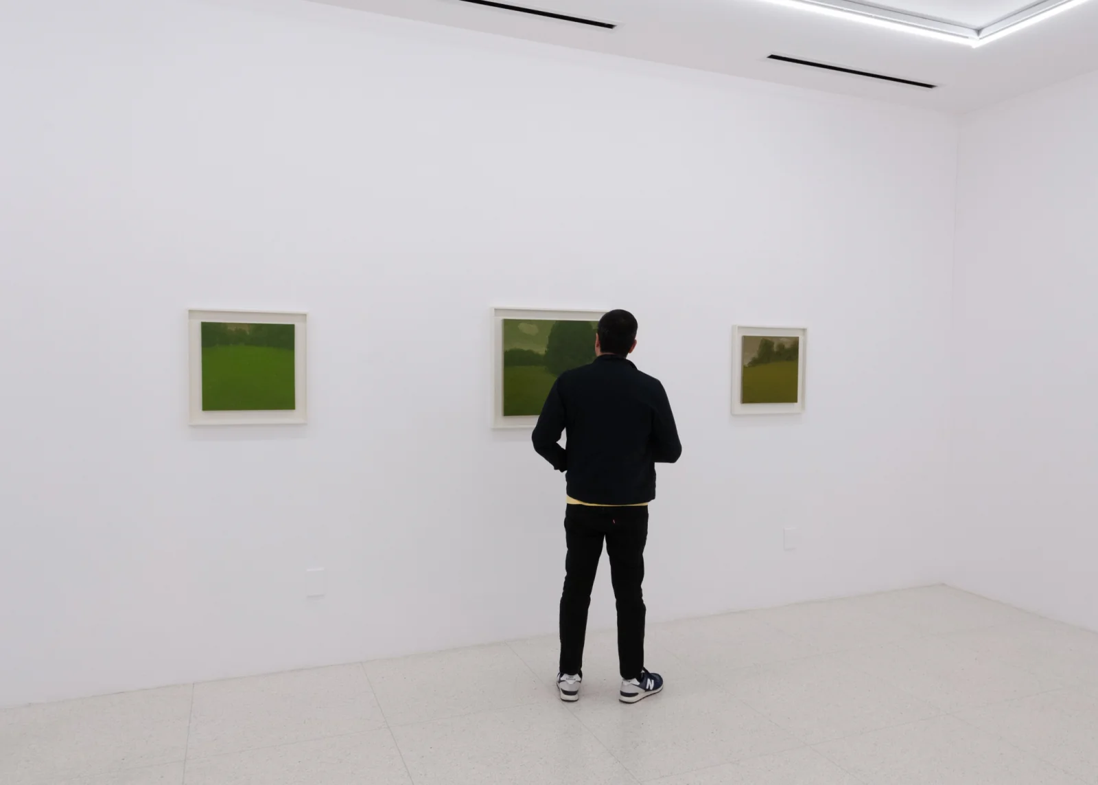 Installation view