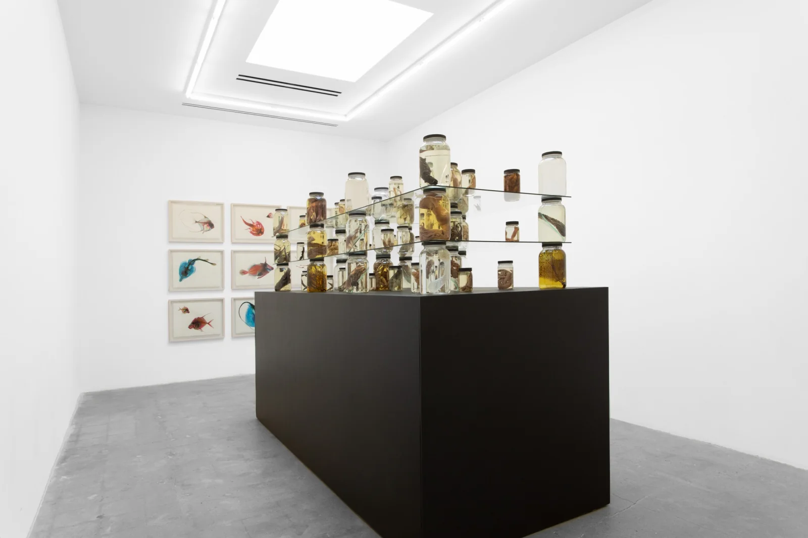 Installation view