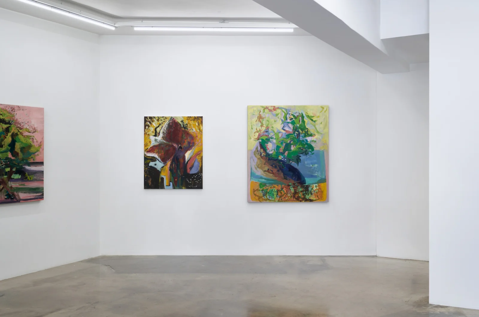 Installation view