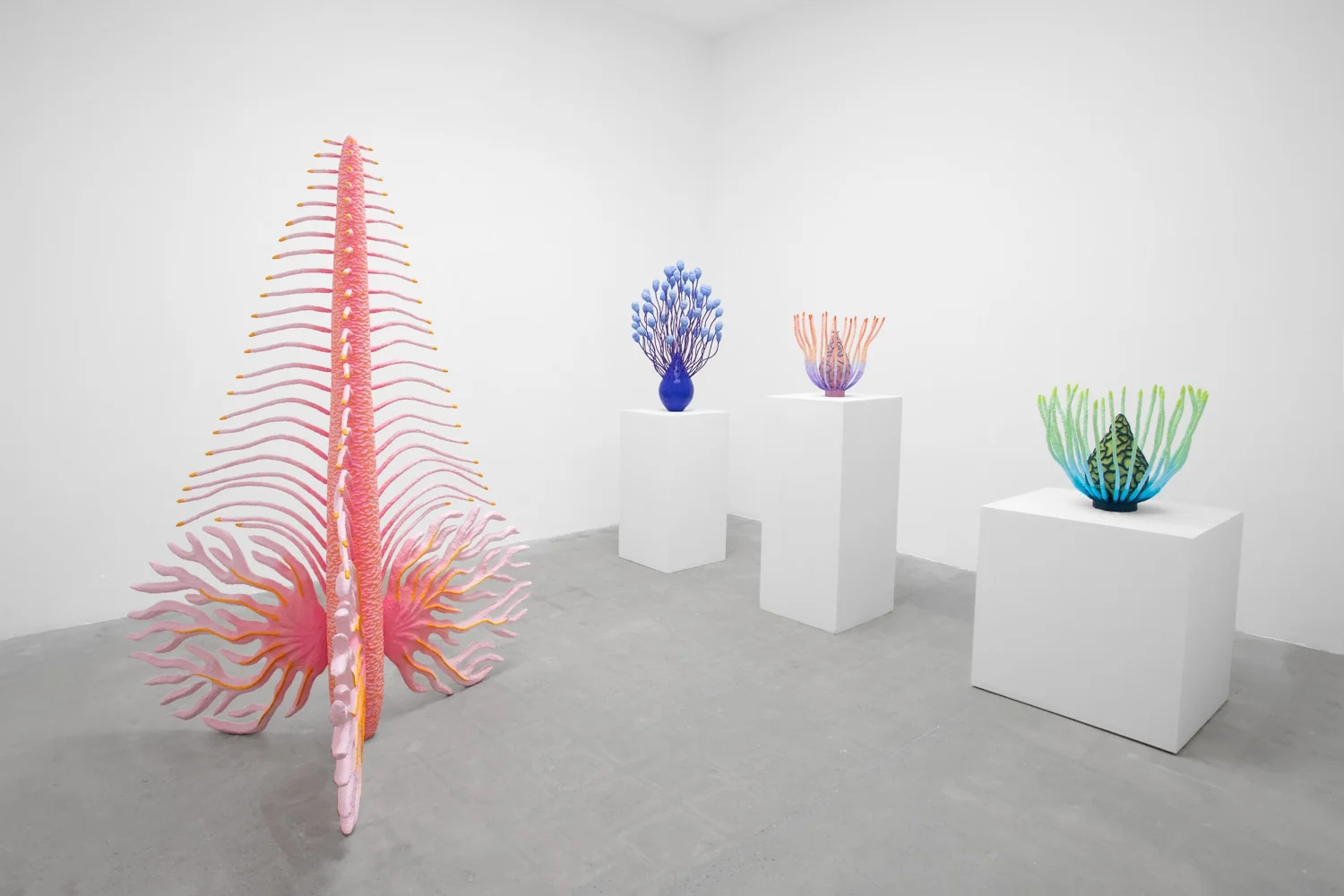 Installation view