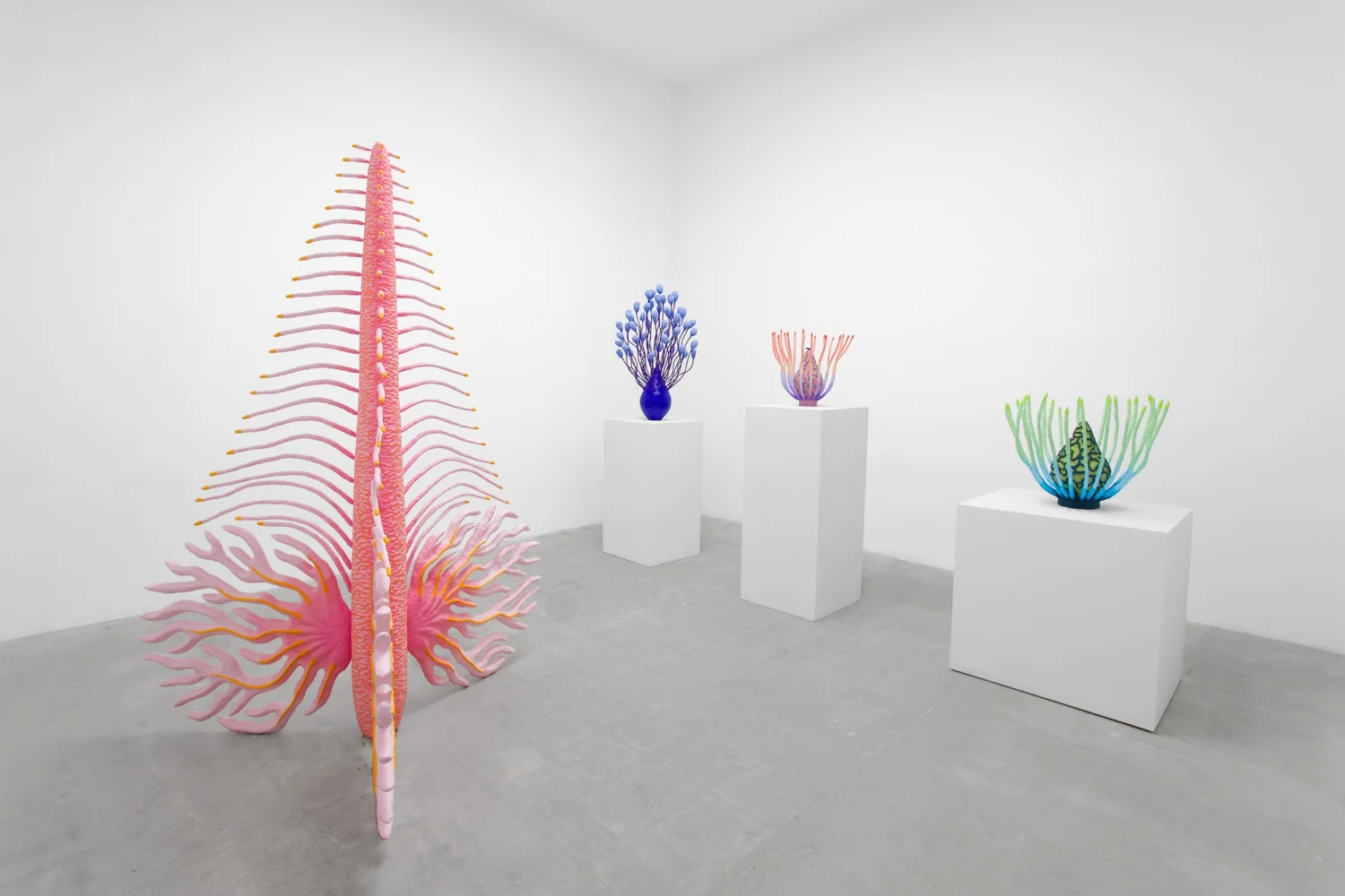 Installation view