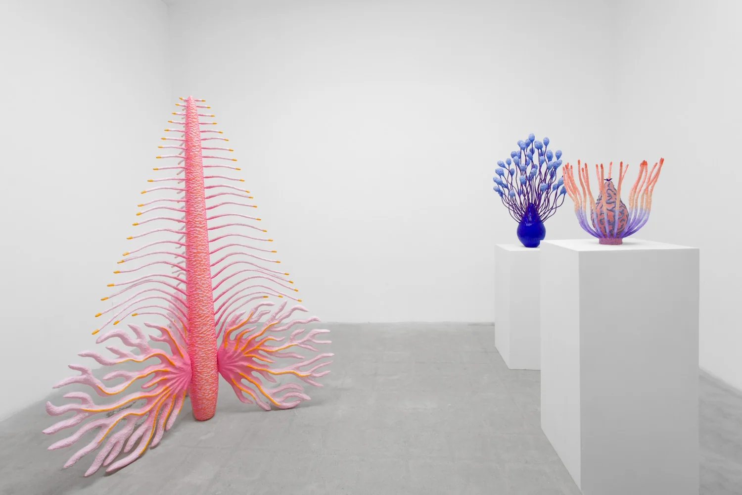 Installation view