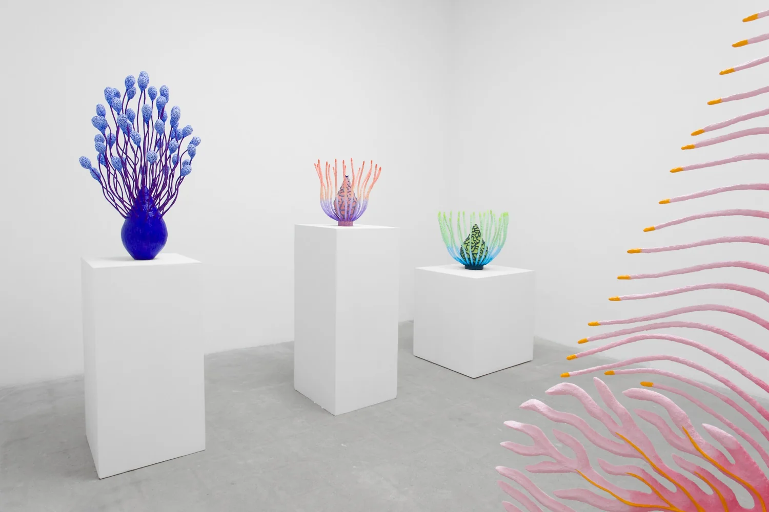 Installation view
