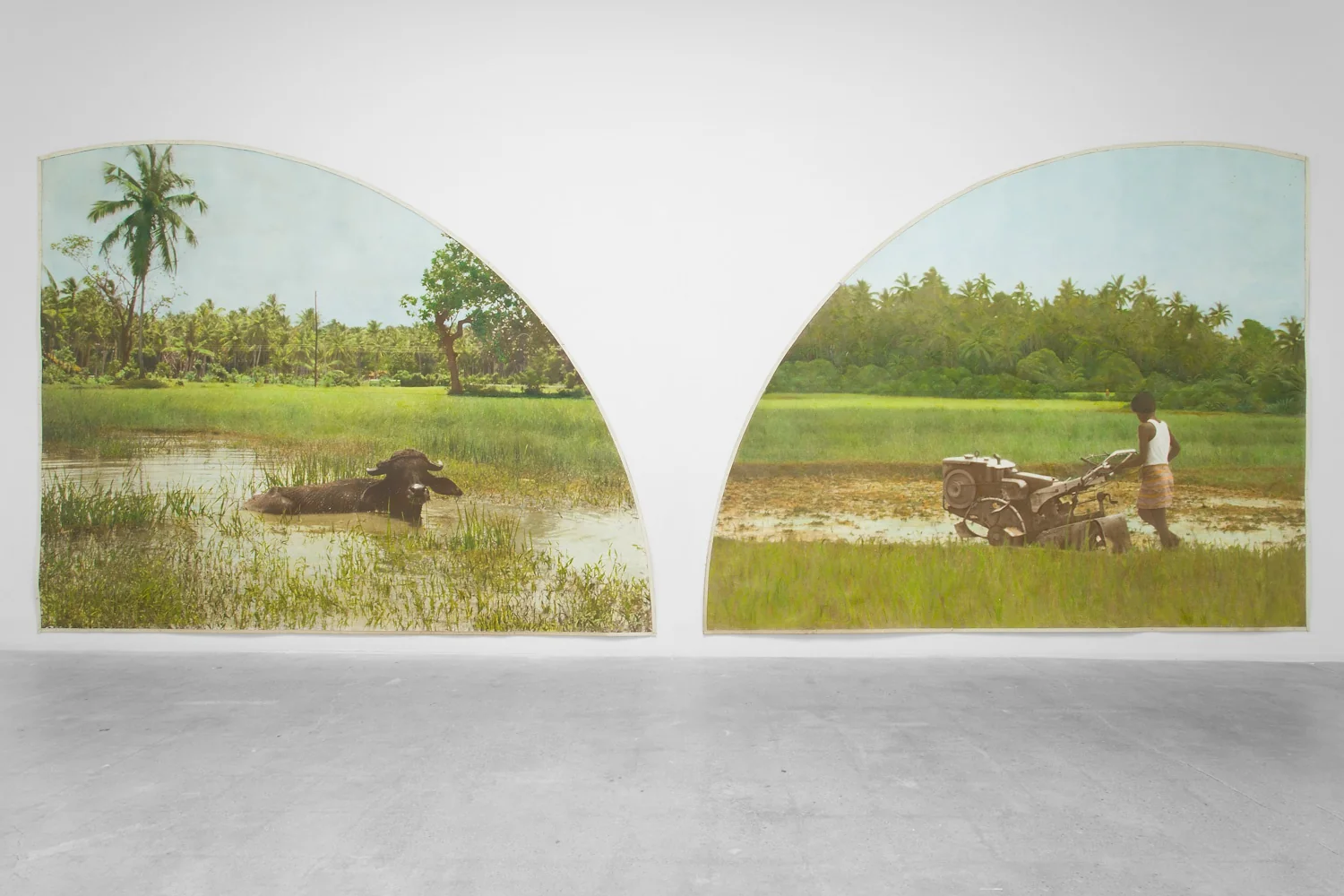 Installation view