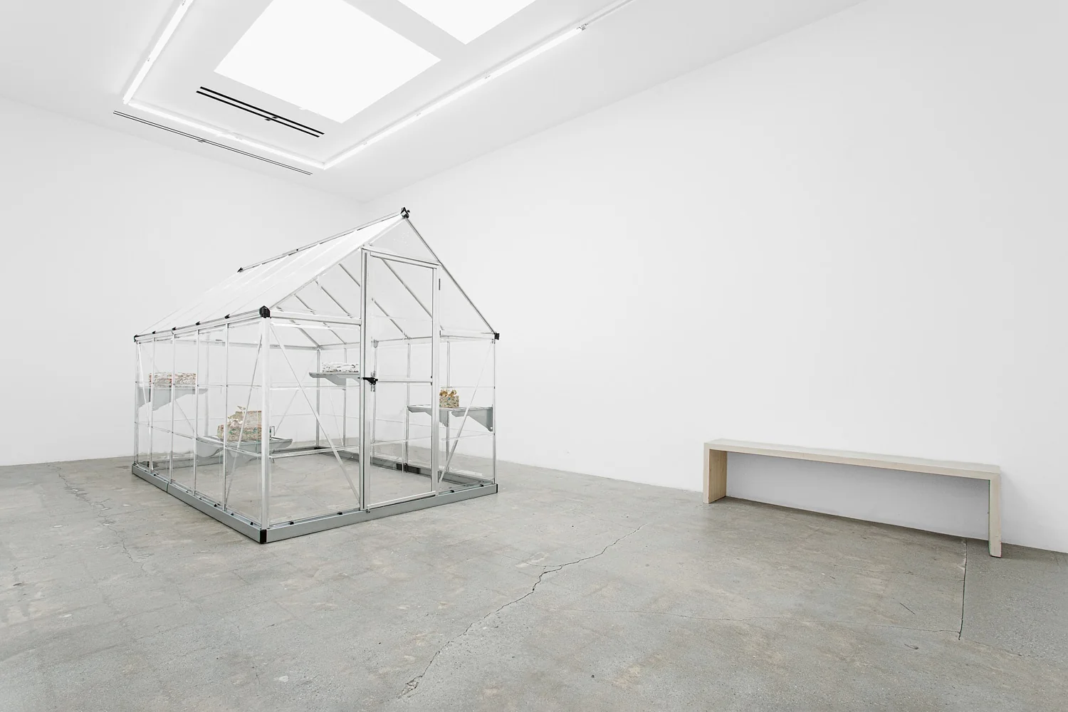 Installation view