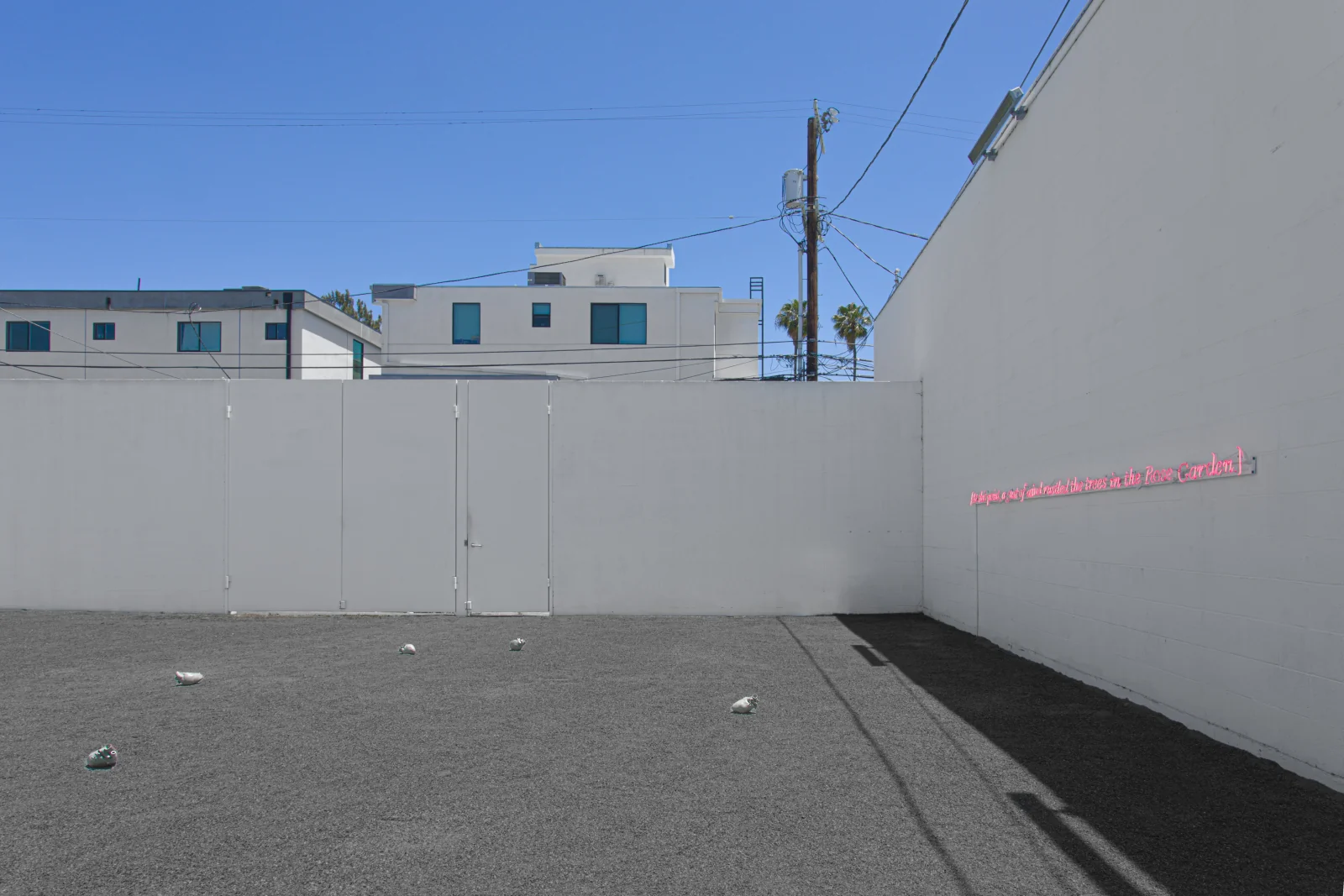 Installation view