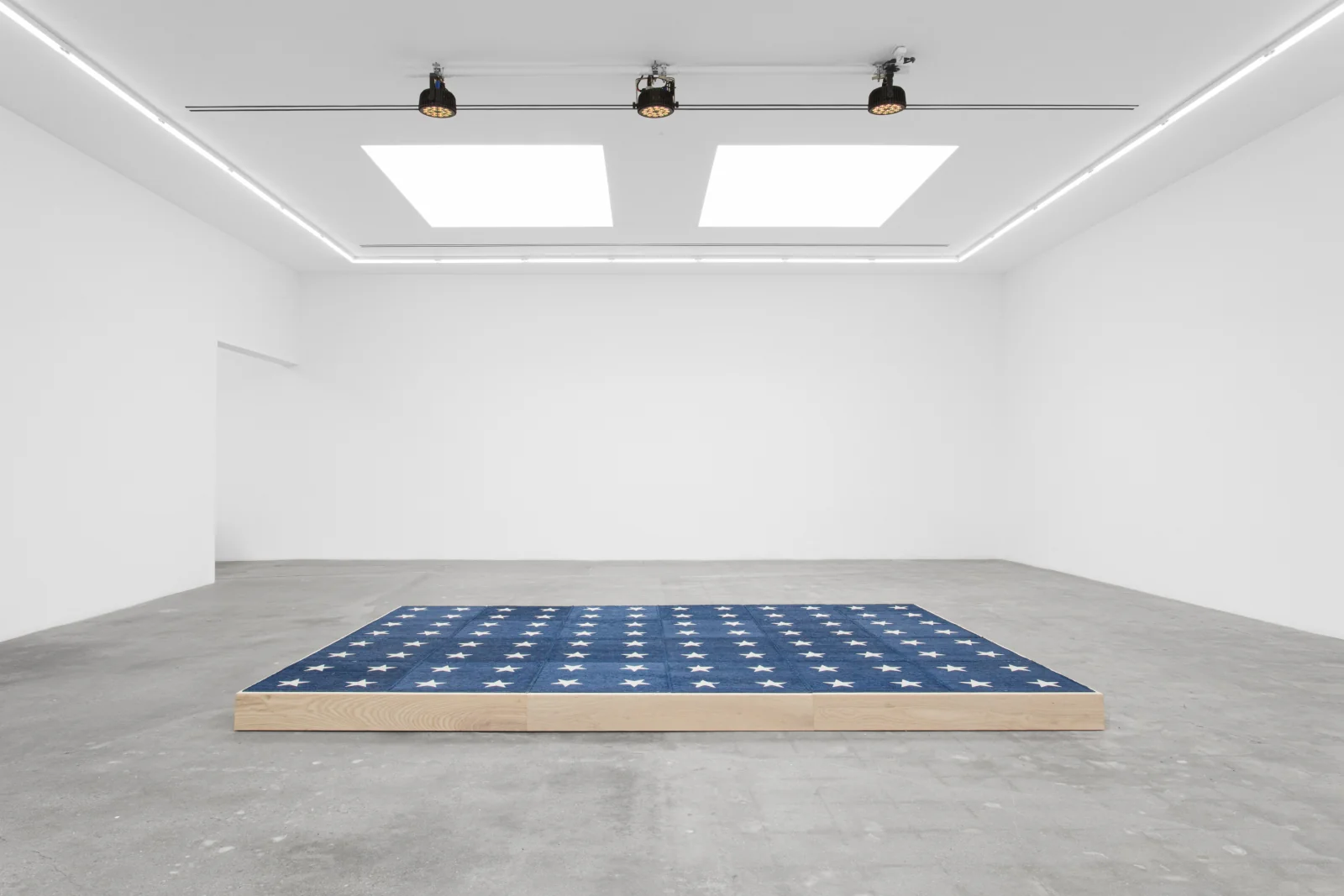 Installation view