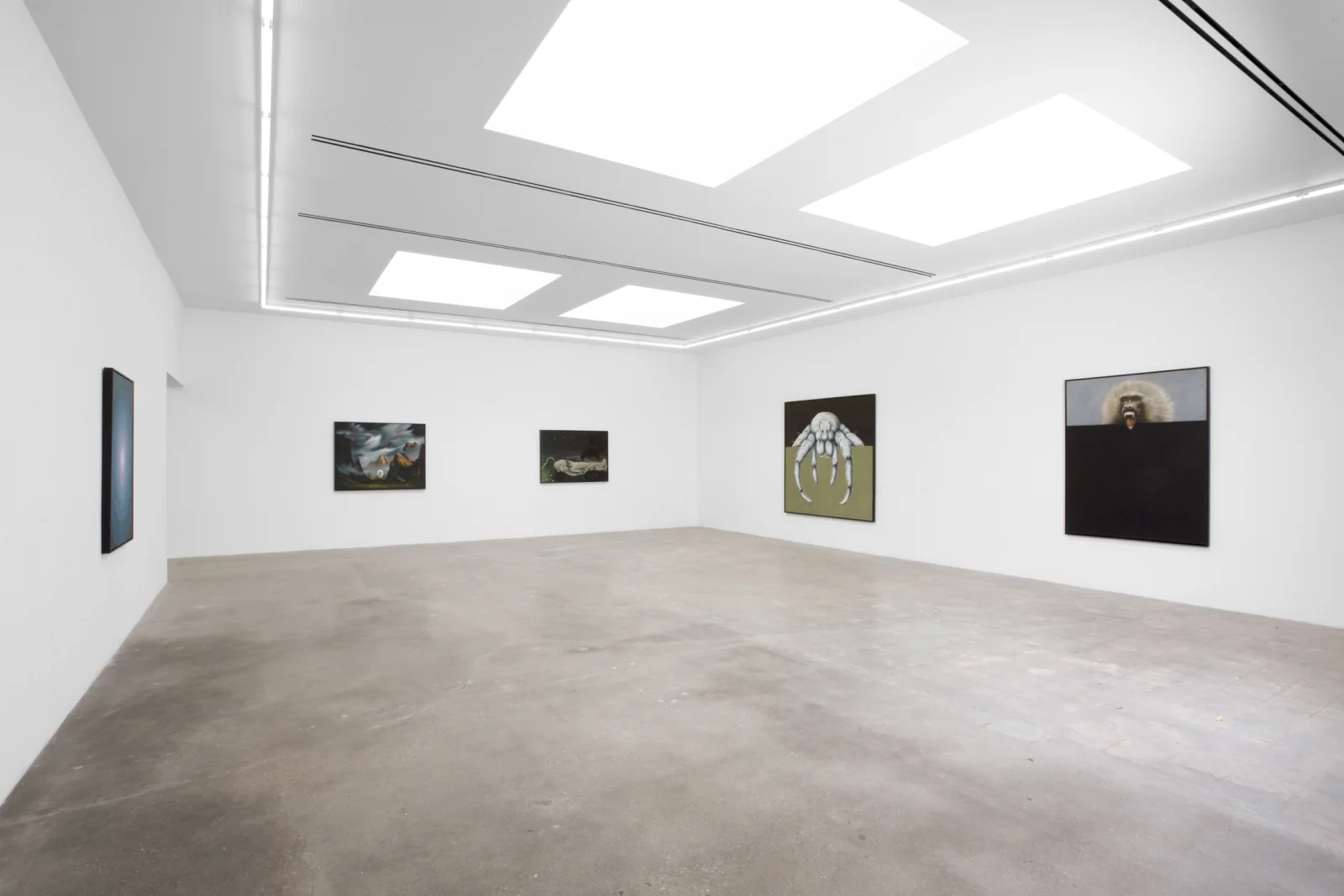 Installation view