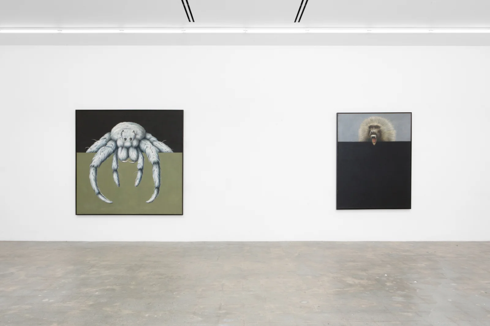 Installation view