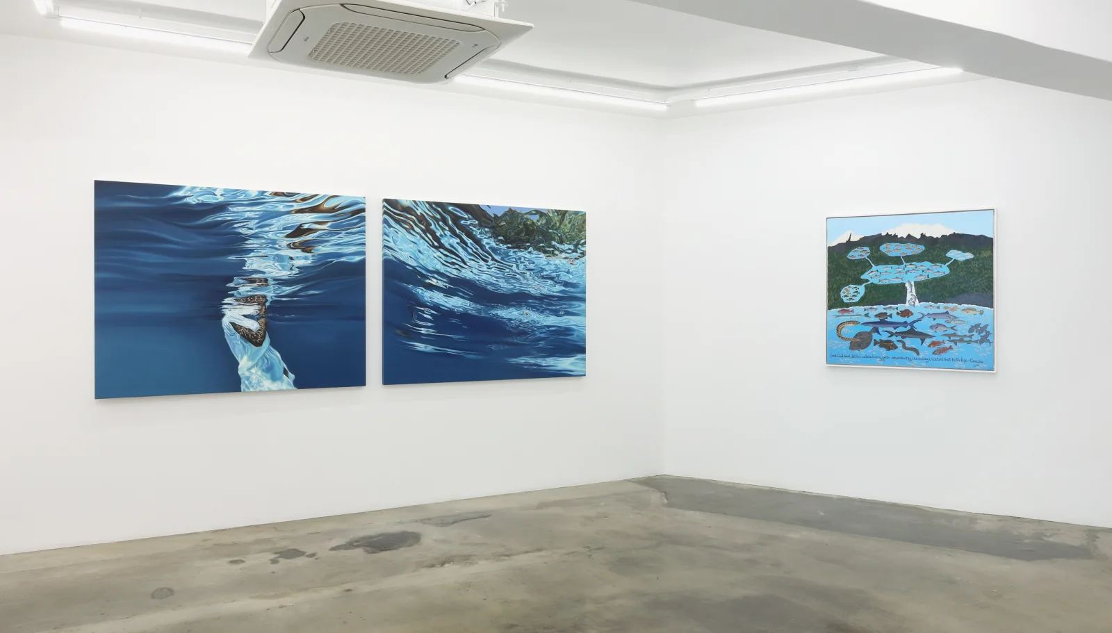 Installation view