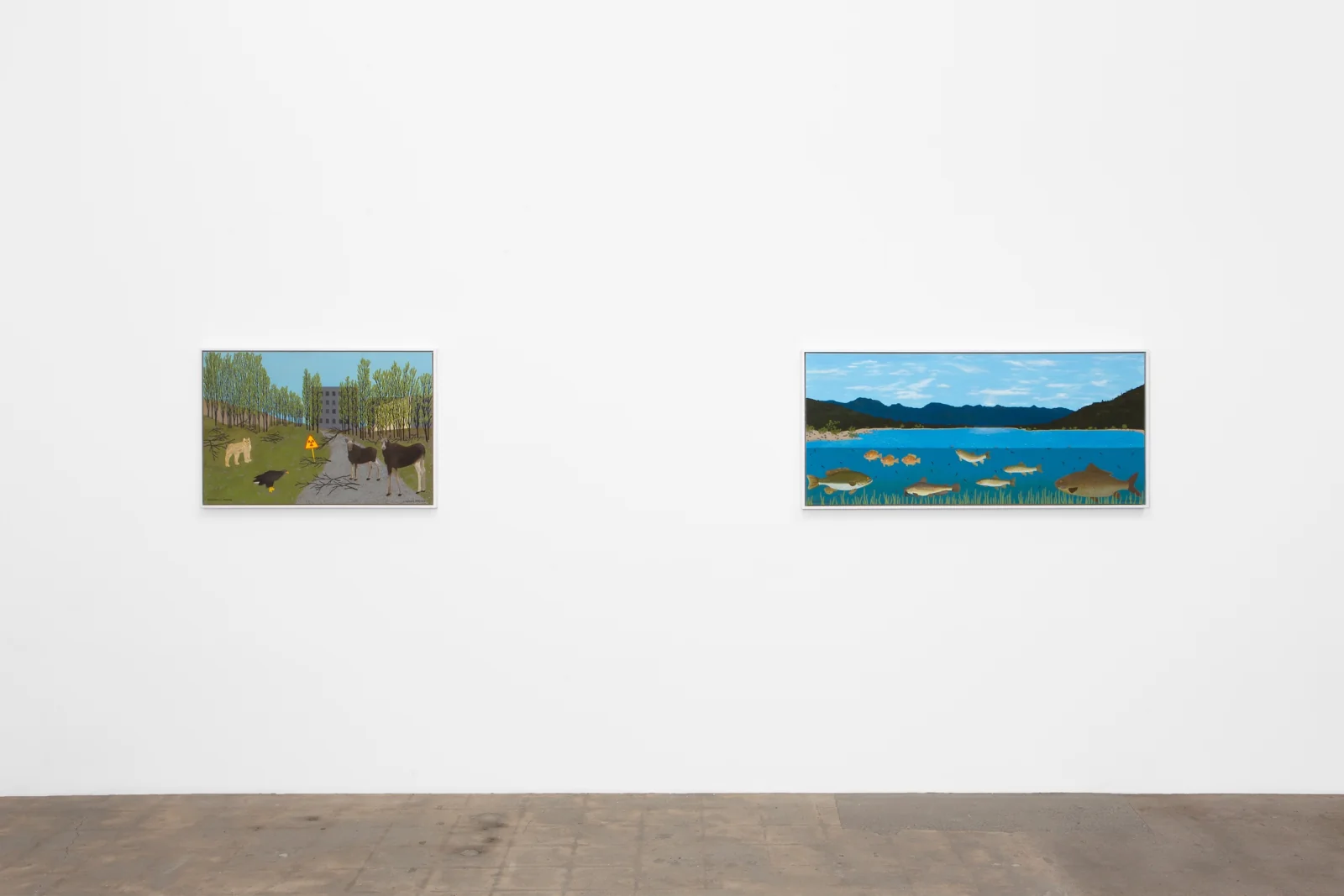Installation view