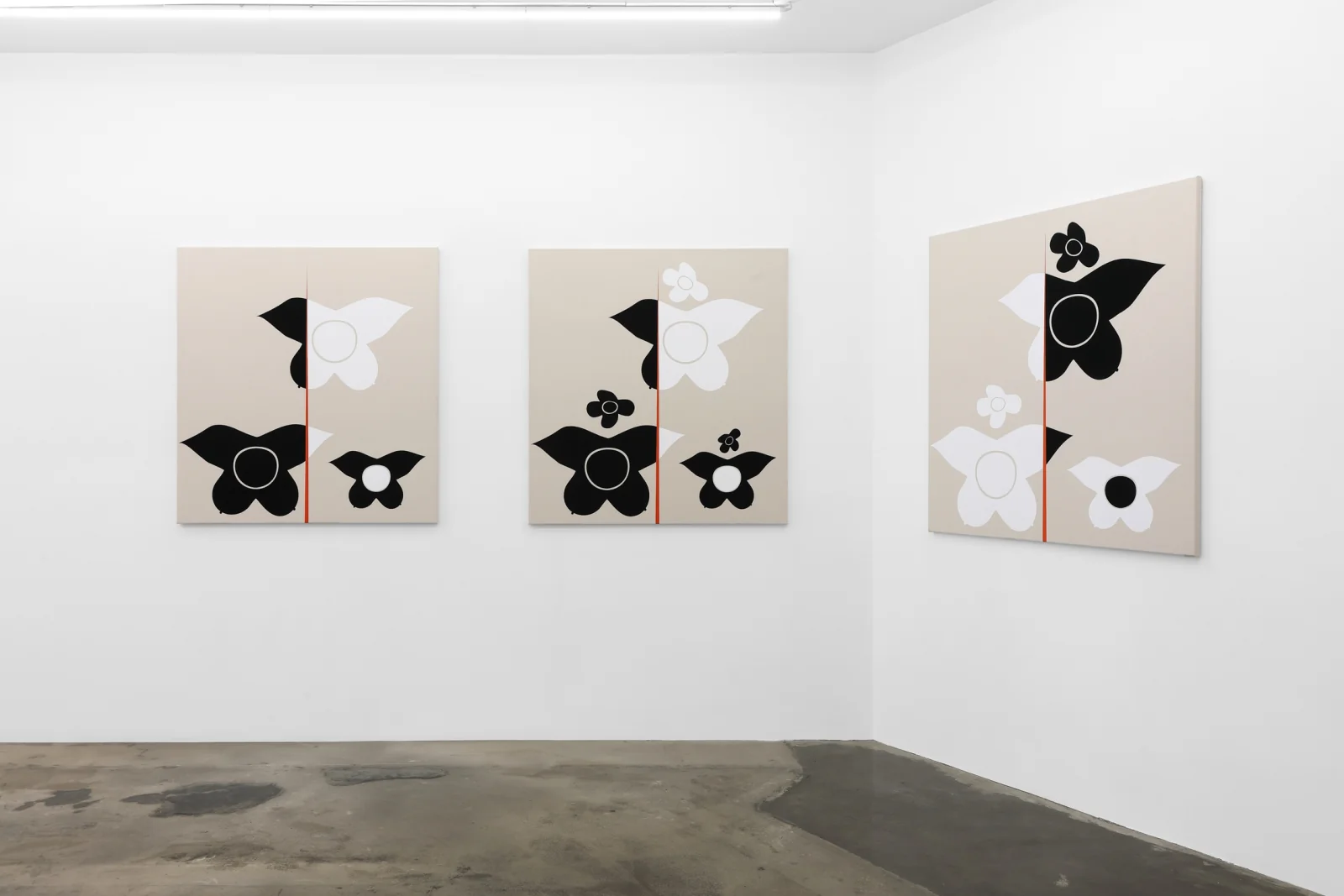Installation view