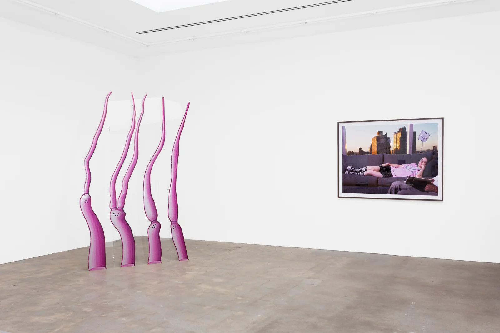 Installation view