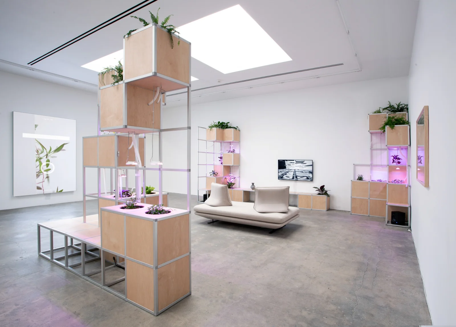 Installation view